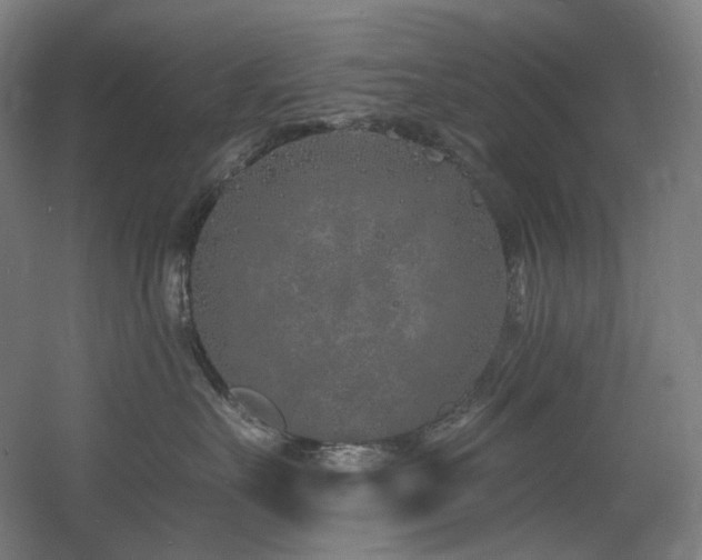 X0000060580527200511031339