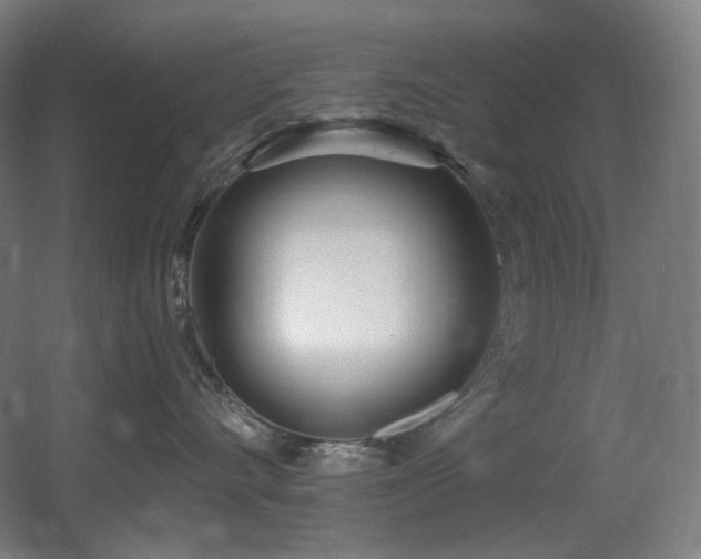 X0000060580528200511031339