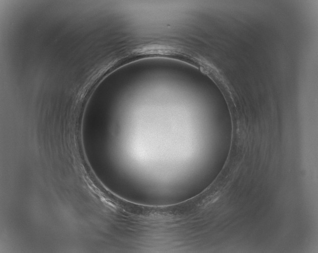 X0000060580529200511031338