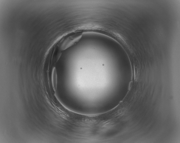 X0000060580531200511031338