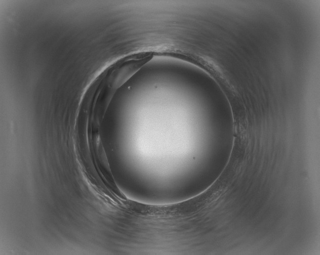 X0000060580532200511031338