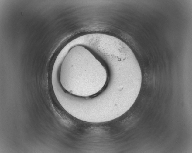 X0000060580534200511031338