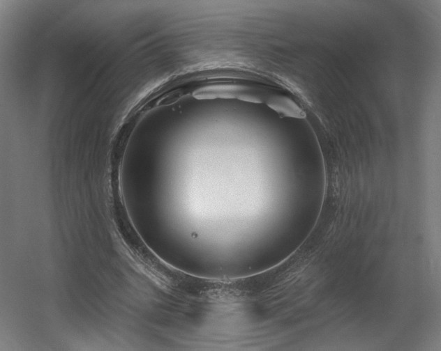 X0000060580535200511031338