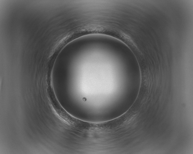 X0000060580538200511031338