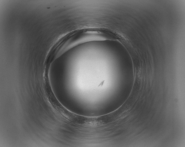 X0000060580540200511031338