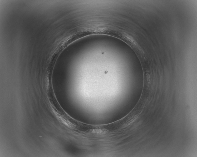 X0000060580541200511031338