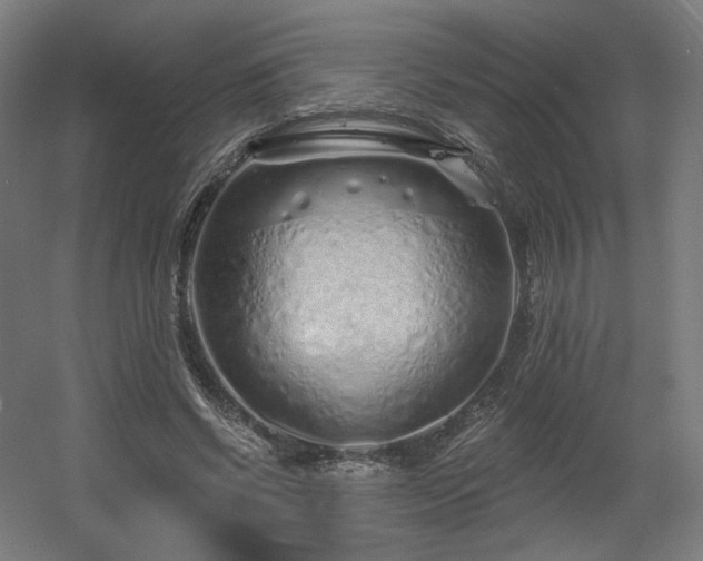 X0000060580542200511031338