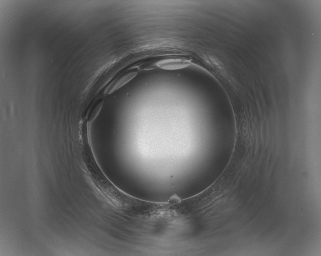 X0000060580543200511031338