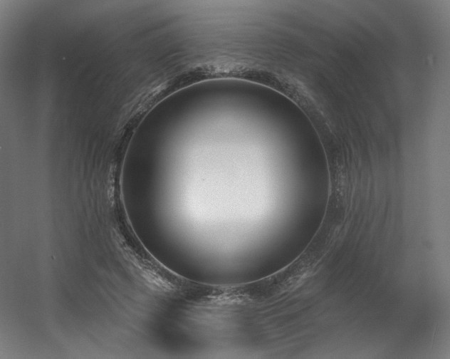 X0000060580545200511031339