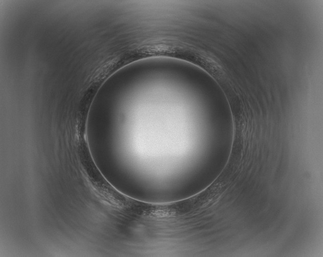 X0000060580546200511031339