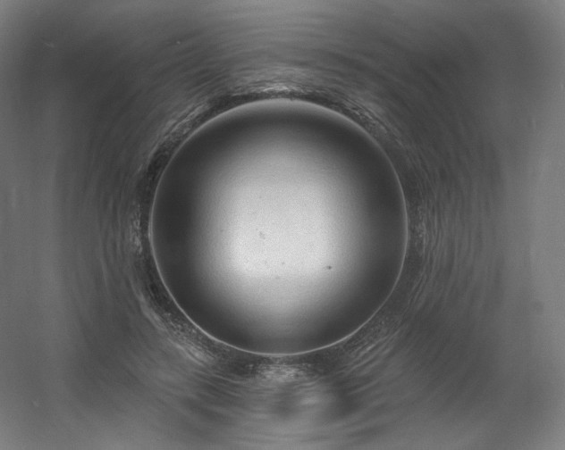 X0000060580547200511031339