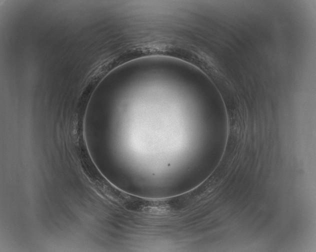 X0000060580548200511031339