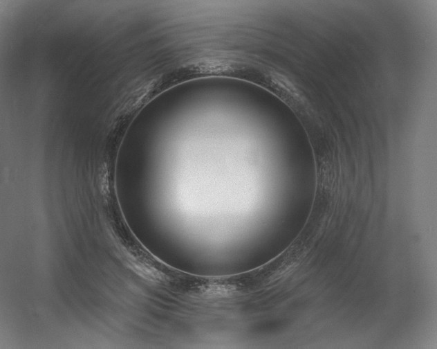 X0000060580549200511031339