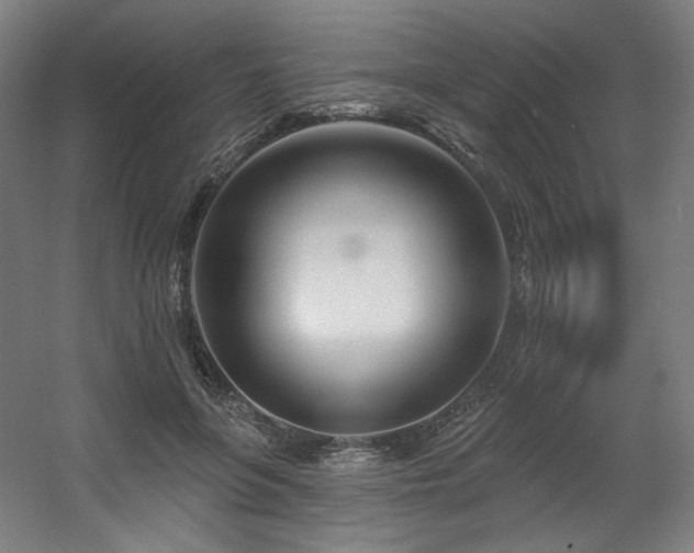 X0000060580551200511031339