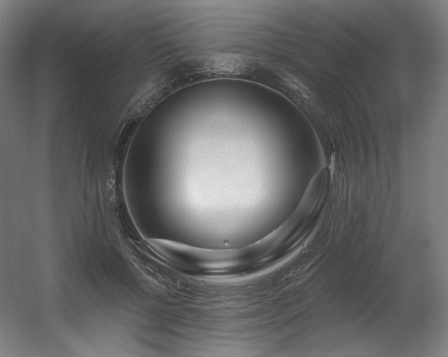 X0000060580552200511031339