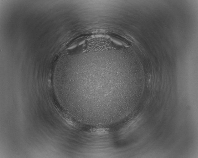 X0000060580553200511031339