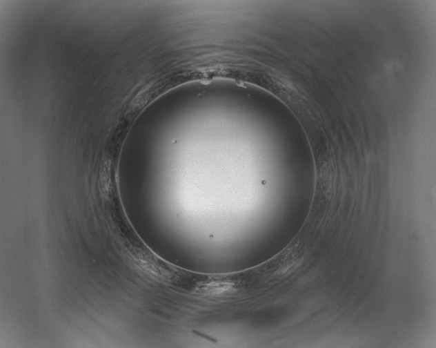 X0000060580554200511031339