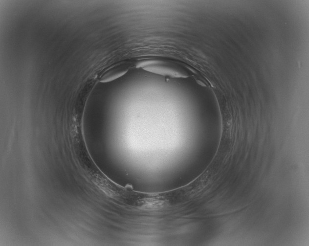 X0000060580555200511031339