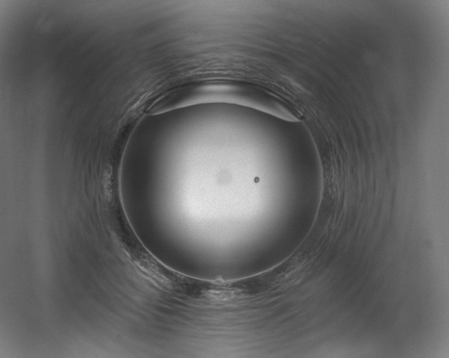 X0000060580556200511031339