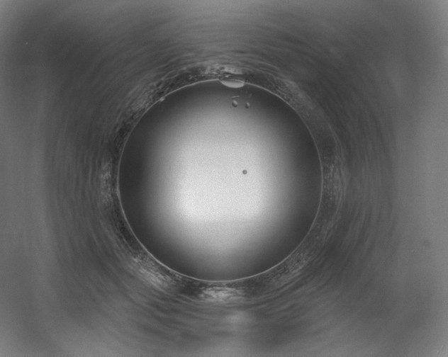 X0000060580557200511031339