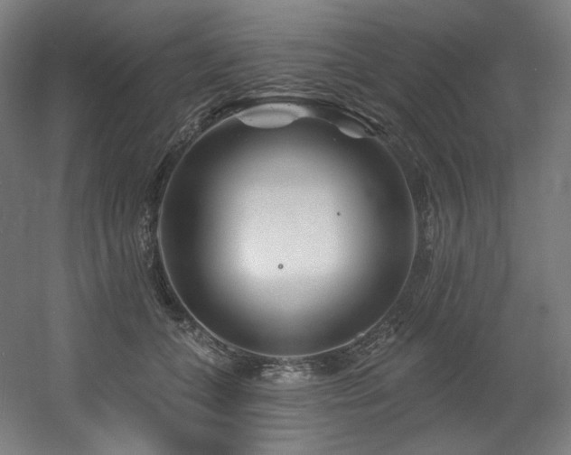 X0000060580559200511031339