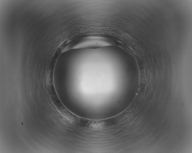 X0000060580560200511031339