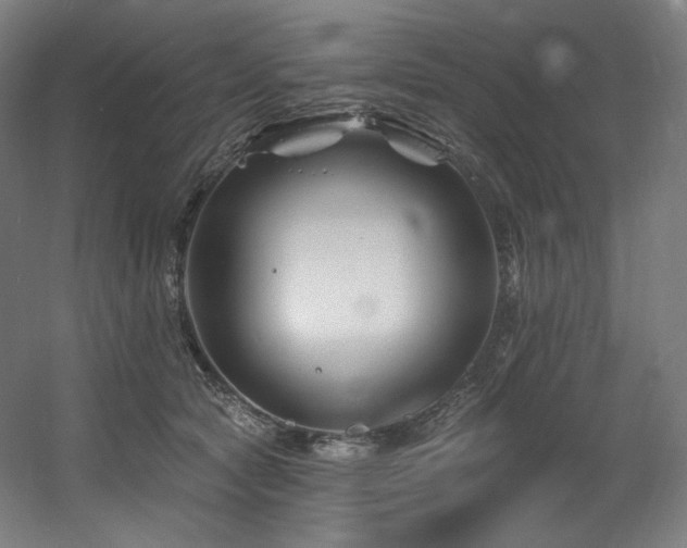 X0000060580561200511031339