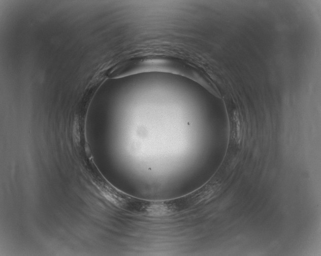 X0000060580562200511031339