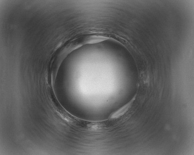 X0000060580564200511031339