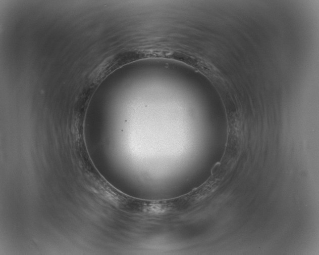 X0000060580565200511031339