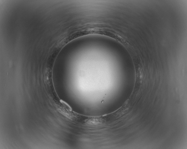 X0000060580567200511031339