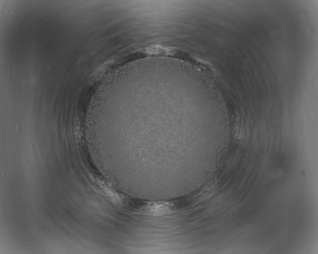 X0000060580569200511031339