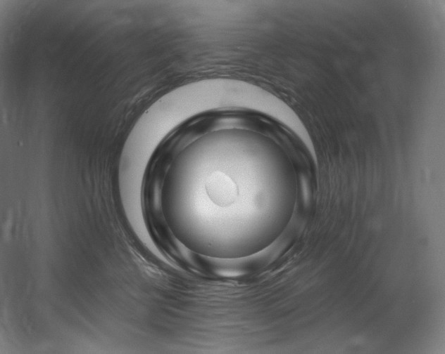 X0000060580570200511031339