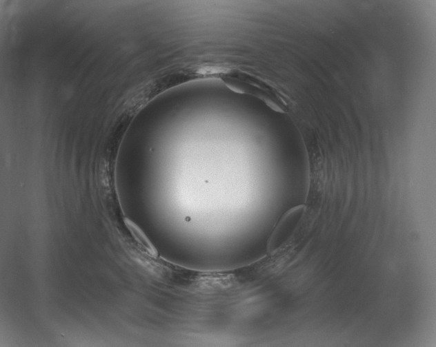 X0000060580571200511031339