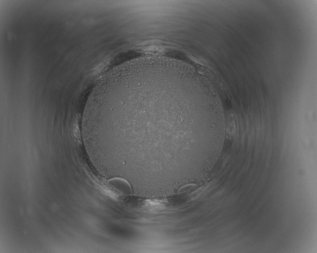 X0000060580573200511031339