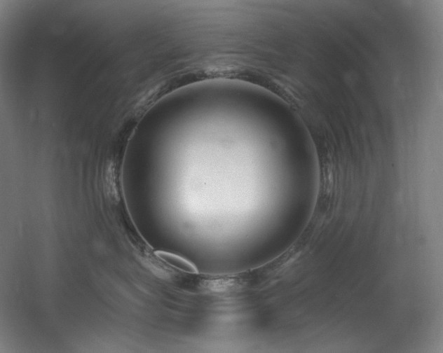 X0000060580575200511031339