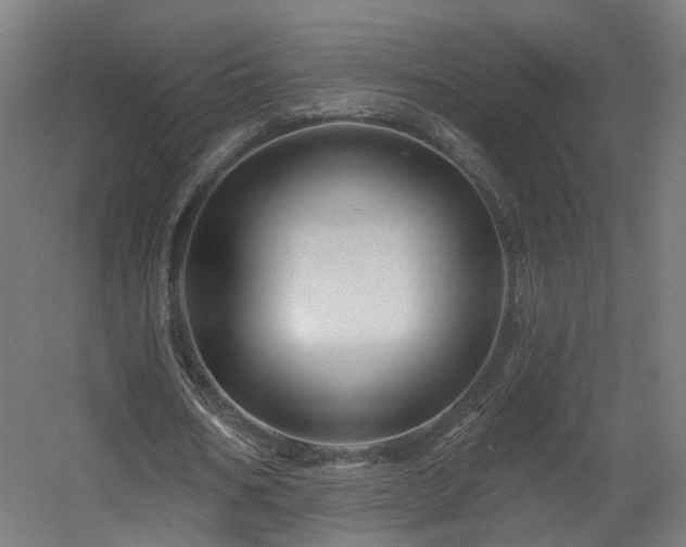 X0000060580578200511031338