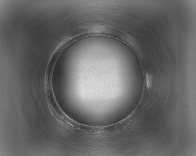 X0000060580579200511031338