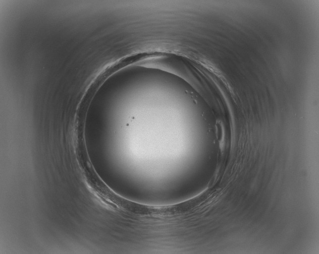 X0000060580580200511031338