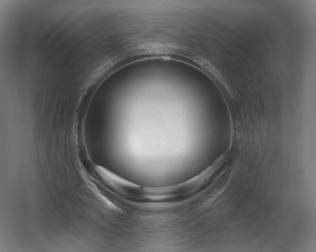 X0000060580581200511031338