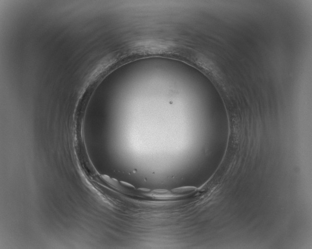 X0000060580582200511031338