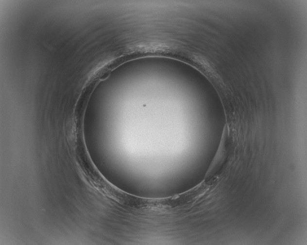 X0000060580583200511031338