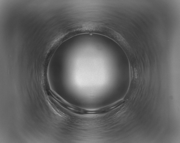 X0000060580588200511031338