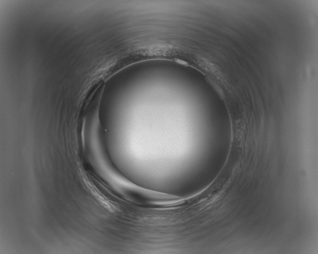 X0000060580589200511031338