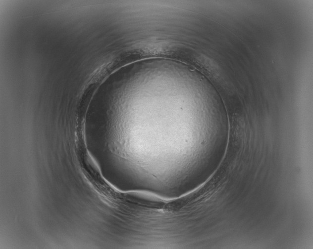 X0000060580590200511031338