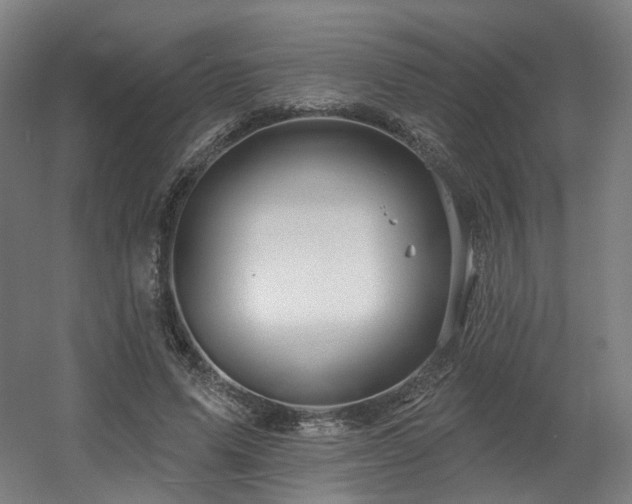 X0000060580591200511031338