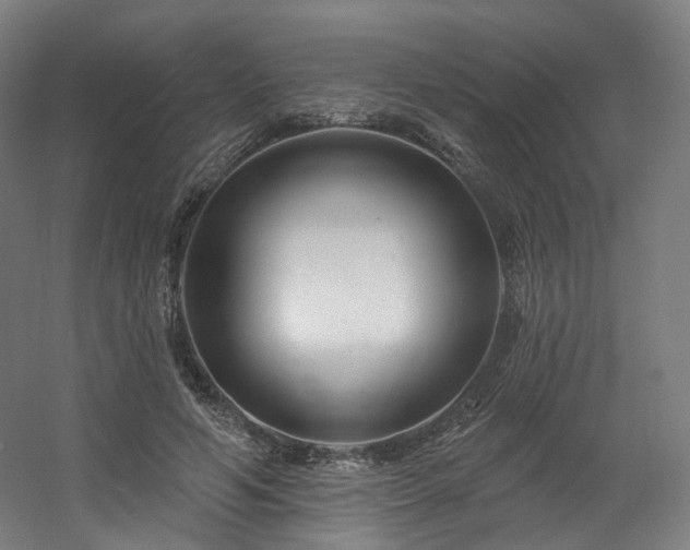 X0000060580594200511031338