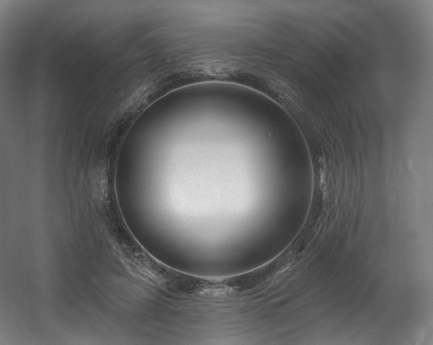 X0000060580595200511031338