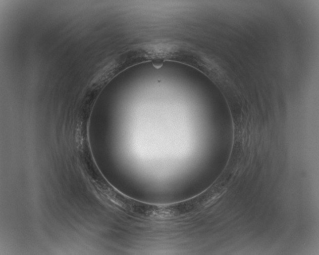 X0000060580599200511031338