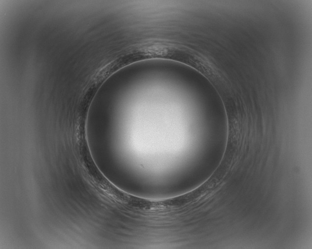 X0000060580600200511031338